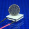 image of high temperature small TEC part number 03111-9L31-06CG shown with USA Dime 10 cent coin for scale