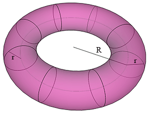 image of a torus or doughnut